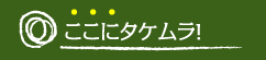 ここにタケムラ