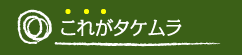 これがタケムラ